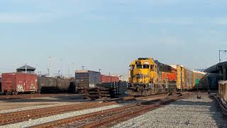 BNSF 196 Bluebonnet