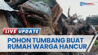 Rumah Warga di Maumere Hancur Tertimpa Pohon Tumbang, Diduga karena Angin Kencang