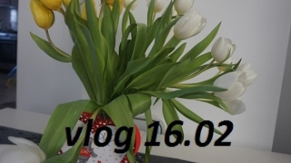 VLOG- SPACER PO LESIE \u0026 WALENTYNKOWE KWIATKI