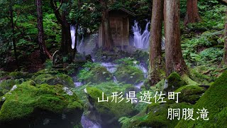 胴腹滝（暑気払い）