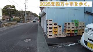 2025年　あいきたび！風邪を吹き飛ばす新年散歩！今年も前向きにスタート！#四万十市　#ポジティブシンキング