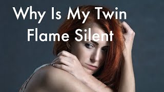 TWIN FLAMES - Why Is My Twin Flame Ignoring me - DM/DF