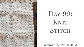 Day 99 : Knit Stitch : #100daysofknitstitches