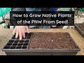 How to Propagate Native Plants of the PNW From Seed!