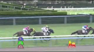 2013年 2歳新馬 / シゲルカガ