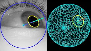 3D Eye Tracking in Python, with a Front Camera
