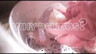 Why Deligos | എന്തിൻ  Deligos ൽ നിന്നും ഓർഡർ ചെയ്യണം | Deligos Ottapalam