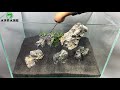 保姆級別水草缸開缸教程，60cm青龍石景缸製作 make an aquarium with a stone landscape.