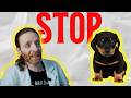 Puppy Training - 5 Mistakes You Have to Avoid