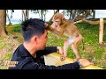 Monkey Kaka's adorable actions for her Dad look so cute