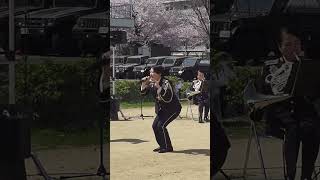 「お花見ダンス2」ツバメ　 陸上自衛隊中部方面音楽隊　伊丹駐屯地　 阿井咲奈  #shorts