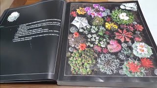 All about Cactus! 책소개! 선인장매니아라면 필수! (인장이삼촌1일1영상)