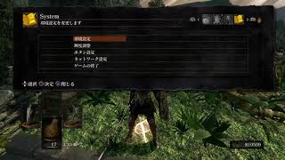 ソウル999個増殖バグやり方【DARK SOULS REMASTERED】