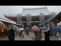 หิมะแรกในโตเกียว ปี 2022 ที่วัดโคมแดง sensoji temple asakusa ในรอบหลายปี เป็นภาพทีหาดูได้ยาก