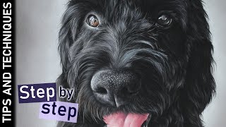 How to draw black fur in pastels | Step by step tutorial