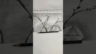 Moon light 🌌 scenery with couples birds🦜🦜 | #shorts #status #scenery drawing #viral