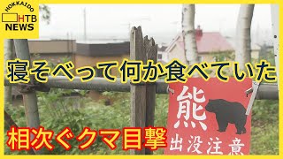 「寝そべって何かを食べていた」札幌市内の住宅街周辺で　各地で相次ぐクマの目撃　北海道