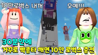 30분안에 거꾸로 뒤집힌 빡종타 깨면 10만 로벅스 충전해준다고 했더니...ㄷㄷㄷ   |  뚜뚜패밀리 [로블록스]