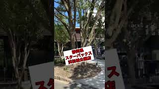 【のりレポ】スターバックス　浜松城公園店