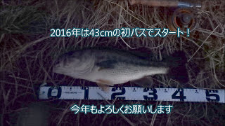 フライで初バス 2016年1月13日