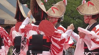 阿波踊り「馬橋連」第33回新松戸まつり（2019.7.13）