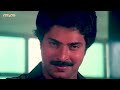 എന്റെ പൂന്തോട്ടം മുഴുവനും റോസാ ചെടികൾ ആണ് changaatham movie scene