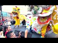 white crane lion dance u0026 colorful lions oranges 🍊 red candies 🧧 boston chinatown community event