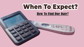 How To Calculate Trimesters In Pregnancy? | Trimester Calculated Like A Pro!