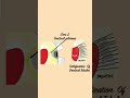 HistopAthology of Dentinal Caries