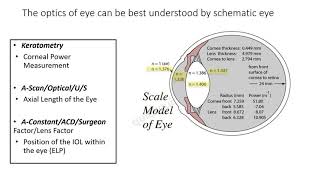 Biometry Part I  Keratometry ( Part II on Biometry will be available at quickguide.org )