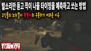 타르코프 고인물의 뇌지컬이 핵쟁이와 구분하기 어려운 이유┃교전 팁, 강의┃Escape From Tarkov