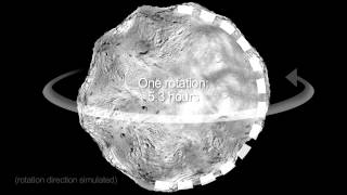 'Nine-Cruise-Ship-Sized' Asteroid To Be Radar Pinged On Fly-By | Video