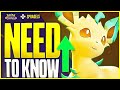 Leafeon Pokemon Unite EVERYTHING You NEED To Know!