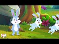 five little bunnies went out one day funforkidstv nursery rhymes u0026 baby songs