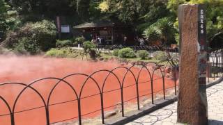 【血の池地獄】別府温泉地獄めぐり　Hot spring Beppu in Japan