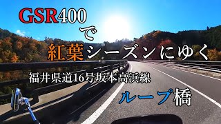 GSR400 で紅葉シーズンにゆく 福井県道16号坂本高浜線 ループ橋