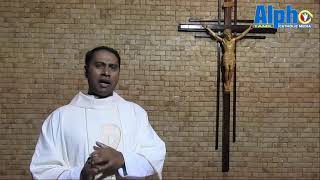 வானினின்று இறங்கி வந்த உணவு நானே! - 19 th Sunday of the ordinary time   Tamil sermon