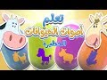 تعلم أصوات الحيوانات - الحظيرة | قناة مرح كي جي - Marah KG