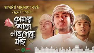 মায়াবী যাদুমাখা কণ্ঠে নতুন গজল Tomar Shane Naat Geye Jai Qari Abu Rayhan Bangla Islamic Song