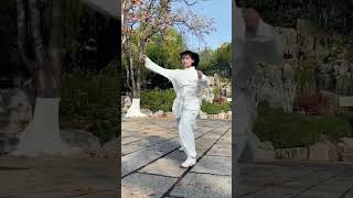 Tai Chi,Looks like a gentle but fierce martial art. #kungfu #Tai Chi