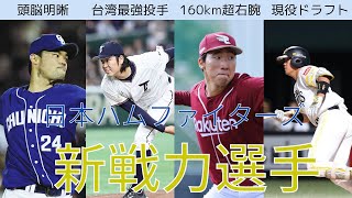 【春季キャンプ2025】日本ハム春季キャンプ直前！新戦力選手紹介！台湾最強投手に現役ドラフトまで【日本ハム】