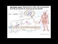 exercise diet and gut brain axis webinar series on gut brain axis and microbiome – illinois