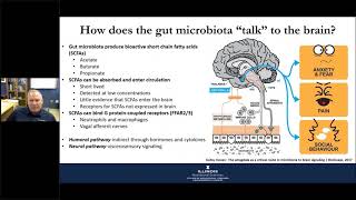Exercise, Diet, and Gut-Brain-Axis: Webinar Series on Gut-Brain Axis and Microbiome – Illinois