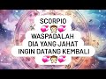 Scorpio 💞 Waspadalah Dia Yang Jahat Ingin Datang Kembali 💞 #funny #freefire #fyp #foryou