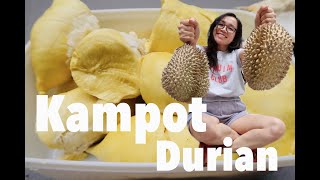 The BEST Durian ever!🇰🇭  || Kampot Durian || ធុរេនកំពត