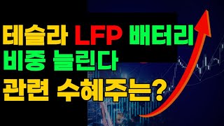 LFP배터리 테슬라의 가성비 전기차 수혜주는 ? EG외