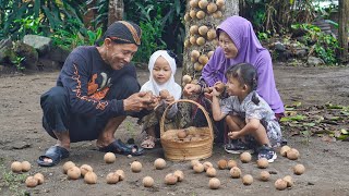 Panen Buah Langka Kepel bersama Cucu | Masak Sop Kembang Waru, Tempe Garit, Sambal Terong, Roti Jala