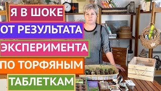 КАКИЕ ТОРФЯНЫЕ ТАБЛЕТКИ САМЫЕ ЛУЧШИЕ? БОЛЬШОЙ ЭКСПЕРИМЕНТ!