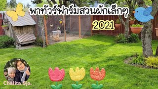 พาทัวร์ฟาร์มและสวนผักเล็กๆหลังบ้าน เลี้ยงไก่ ปลูกผักสลัดผักสวนครัว ปลูกผลไม้ | My Little Farm