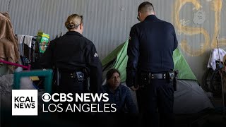 Audit of LA's anti-camping law shows $3 million spent and just two people provided permanent housing